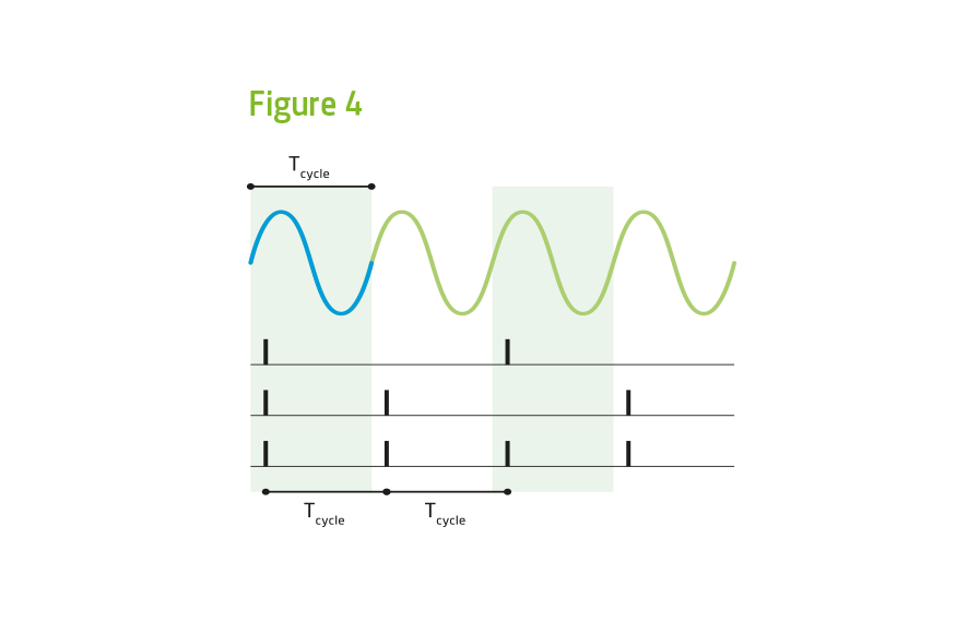 Auditory System