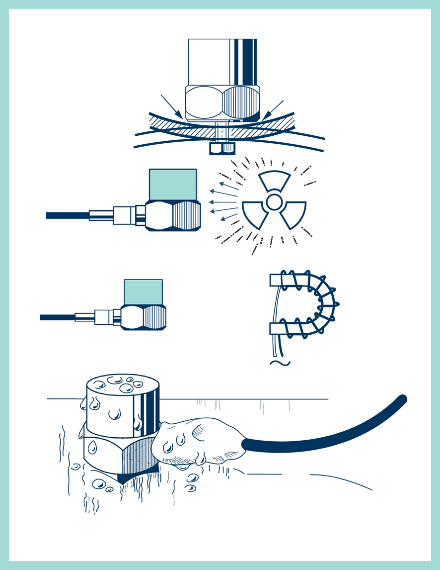 Effetti dei fattori ambientali