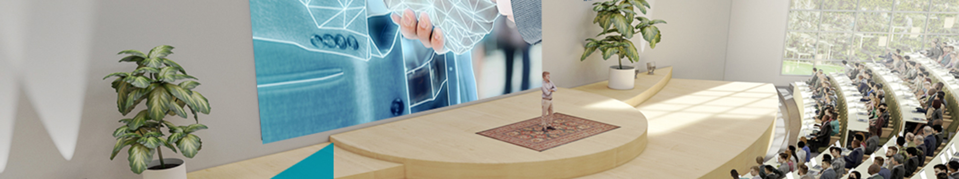 Virtual conference hall