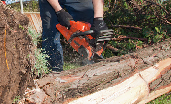 A typhoon in the 1970s left 2500 Japanese workers with Hand-Arm Vibration Syndrome