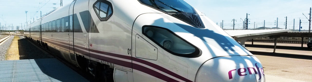 CAF Train Manufacturer