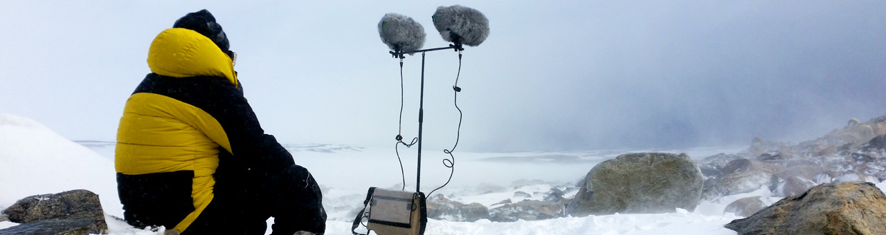 Sound art in extremis: Mapping the sound ecology of Antarctic weather