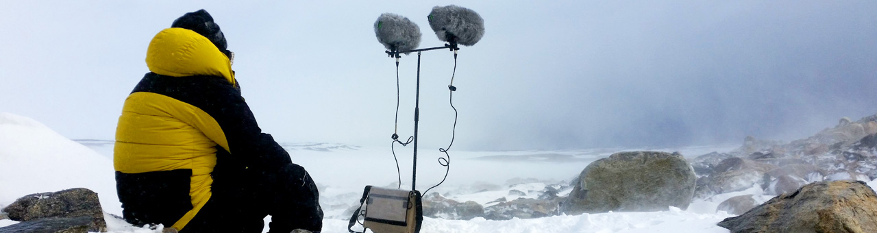 Sound art in extremis 