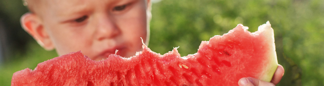 Tapping into the acoustic properties of a watermelon 