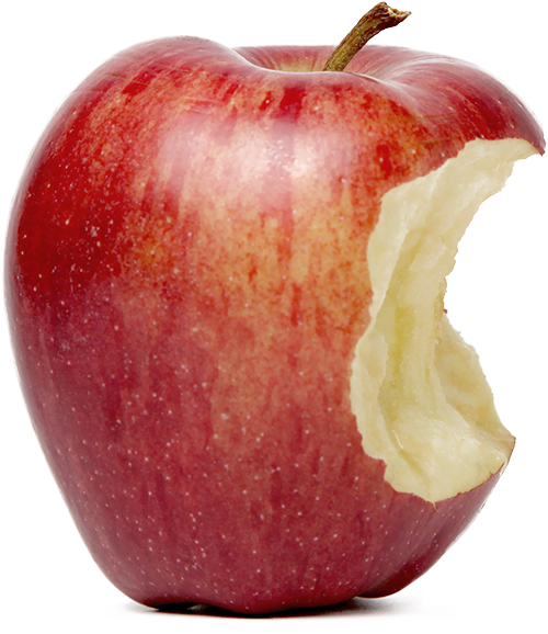 Tapping into the acoustic properties of a watermelon