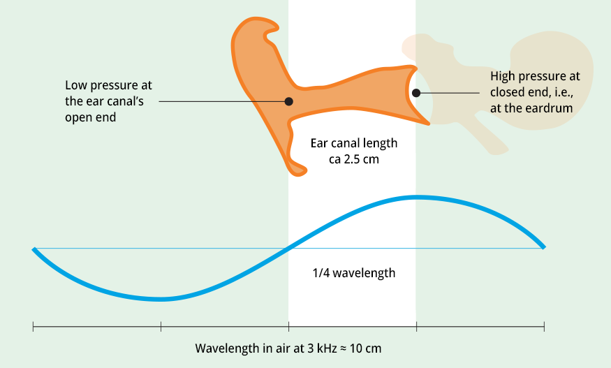 Anatomy-of-the-human-ear