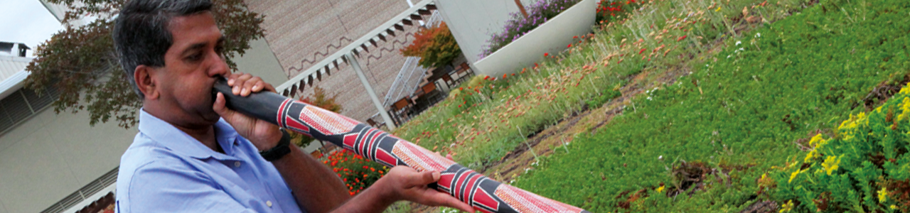 Finding passion in the perception of acoustics