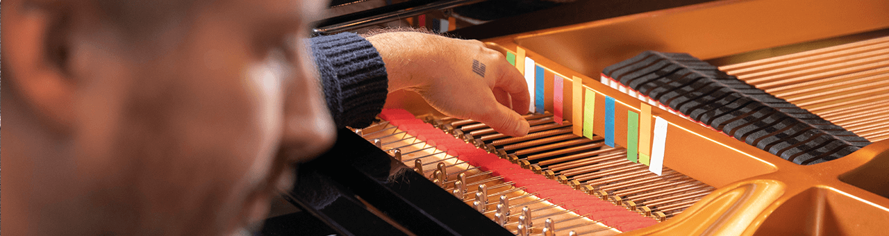 Biblioteca de conocimientos