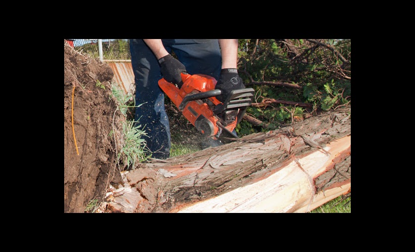 A typhoon in the 1970s left 2500 Japanese workers with Hand-Arm Vibration Syndrome